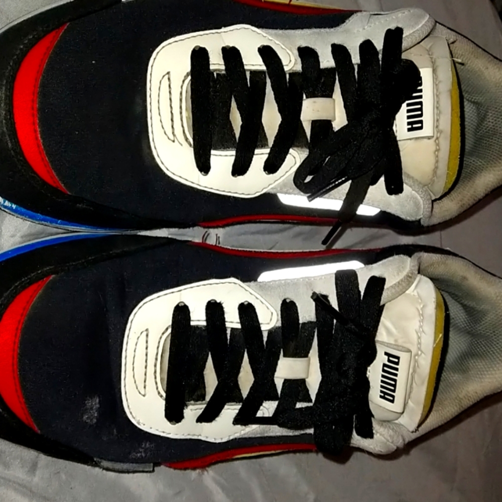 Pumas